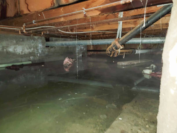 Sewage cleanup and water damage restoration