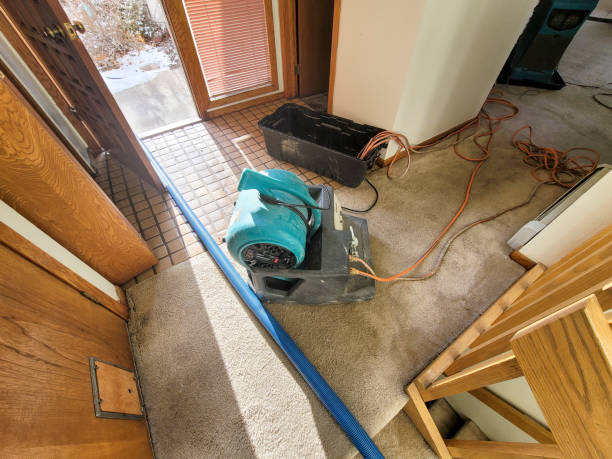 Best Water damage cleanup near me  in Topeka, IN