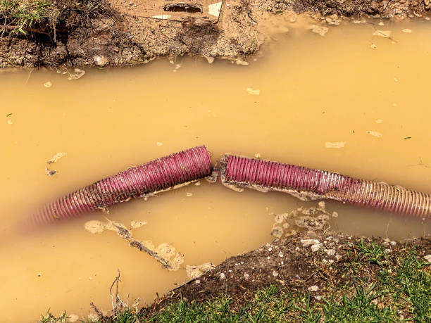 Best Carpet water damage restoration  in Topeka, IN